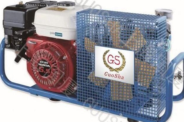 節能污草莓视频下载